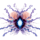 Illustration for article titled Incredible kaleidoscope photographs of Portuguese Man O War Zooids